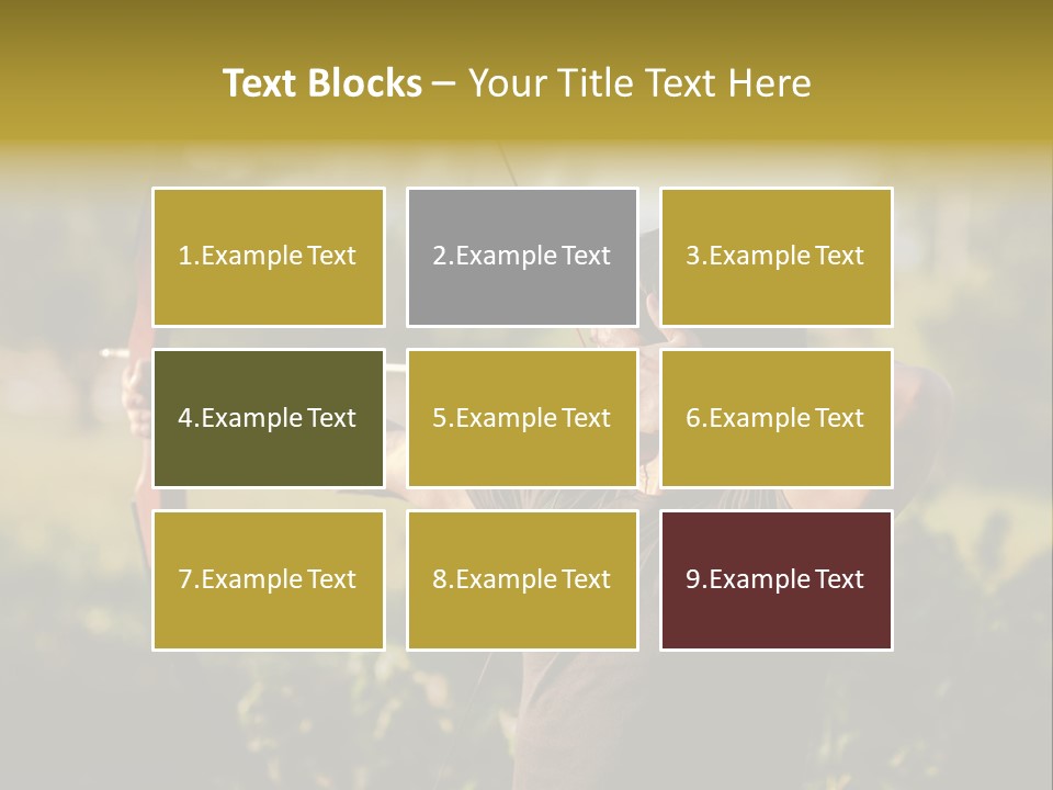 Woman Pensioner Retired PowerPoint Template