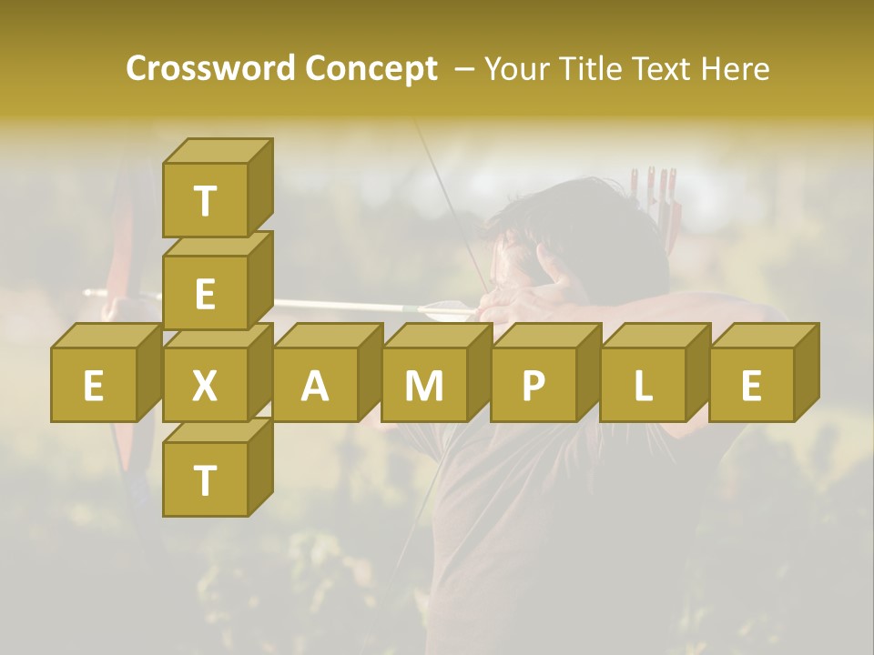 Woman Pensioner Retired PowerPoint Template