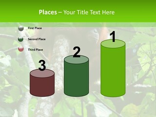 Mother Senior Peaceful PowerPoint Template