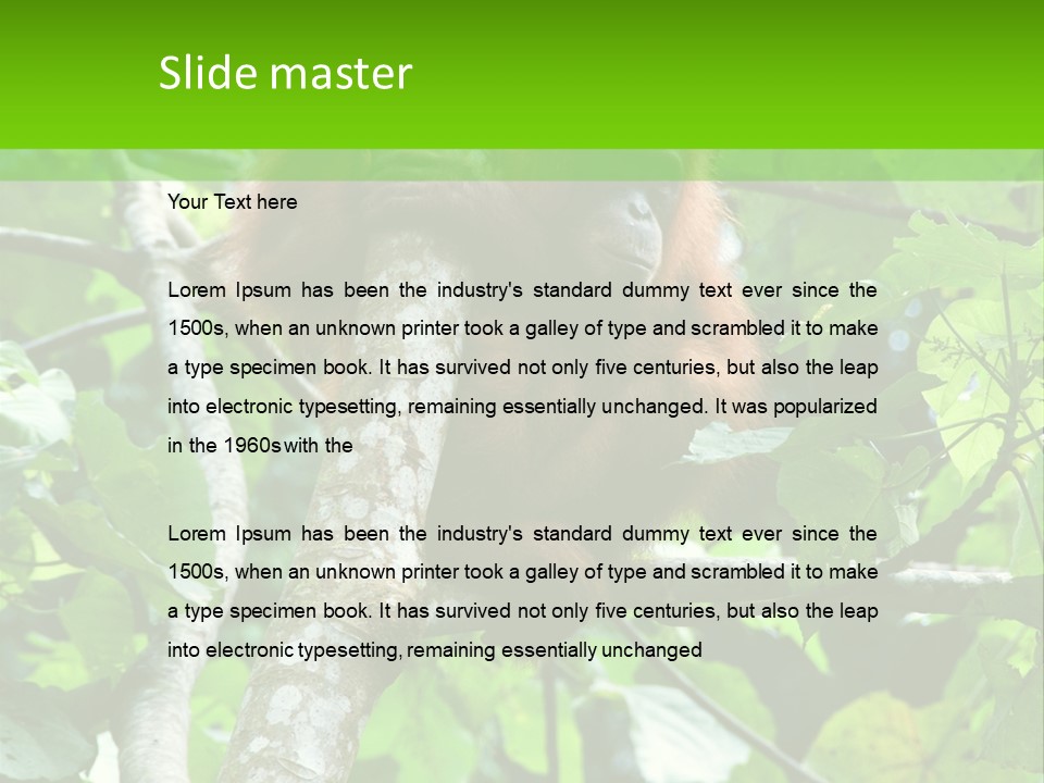 Mother Senior Peaceful PowerPoint Template