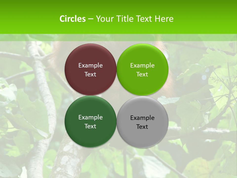 Mother Senior Peaceful PowerPoint Template