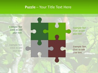 Mother Senior Peaceful PowerPoint Template
