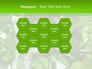 Mother Senior Peaceful PowerPoint Template