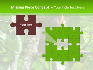 Mother Senior Peaceful PowerPoint Template