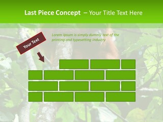 Mother Senior Peaceful PowerPoint Template