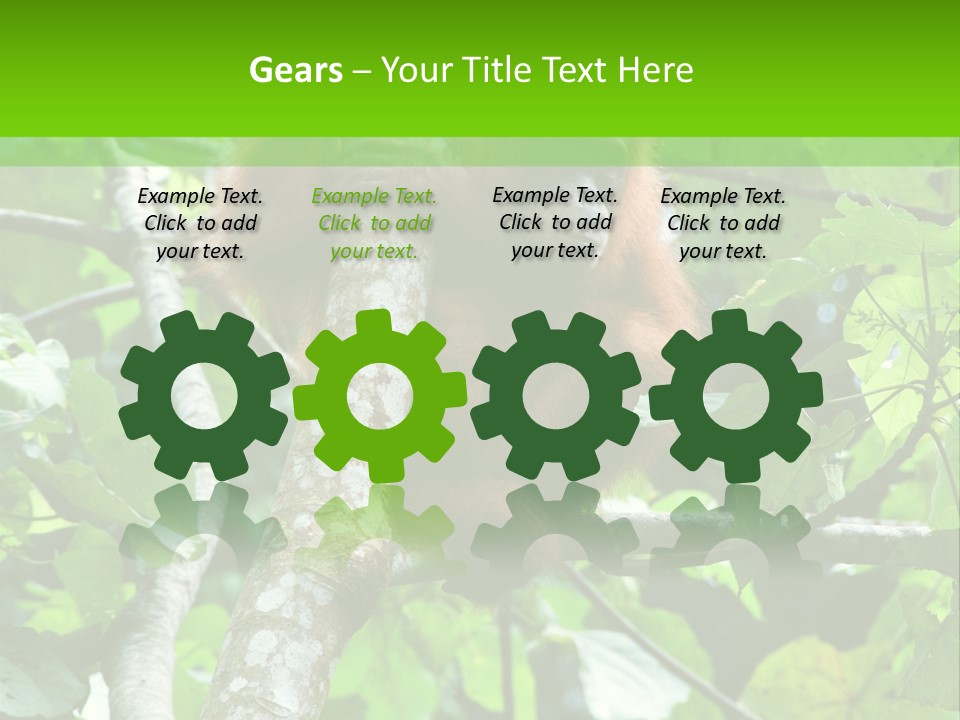 Mother Senior Peaceful PowerPoint Template