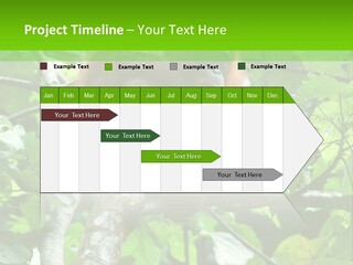 Mother Senior Peaceful PowerPoint Template