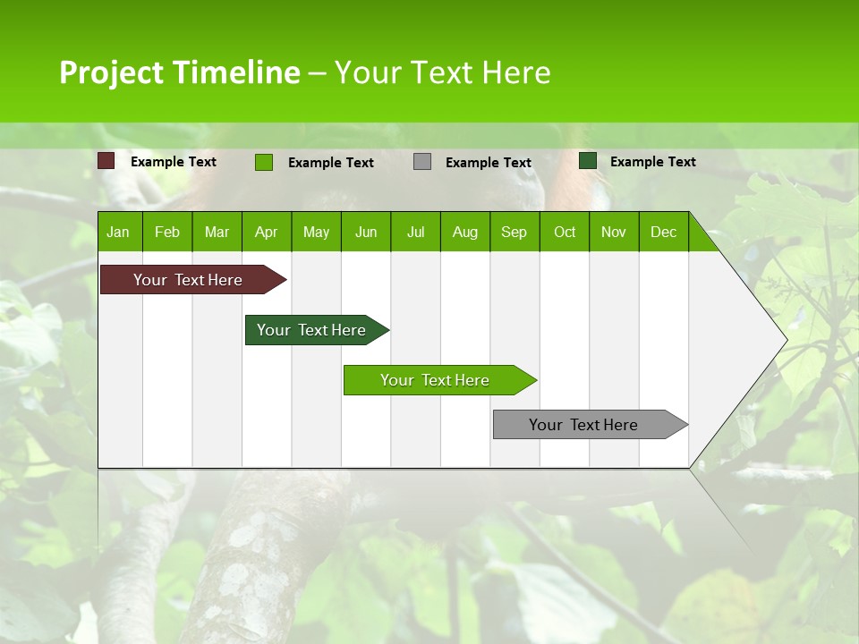 Mother Senior Peaceful PowerPoint Template