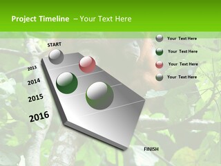 Mother Senior Peaceful PowerPoint Template