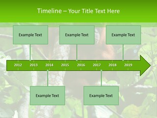 Mother Senior Peaceful PowerPoint Template