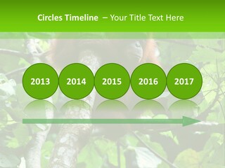 Mother Senior Peaceful PowerPoint Template