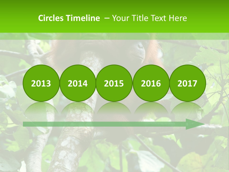 Mother Senior Peaceful PowerPoint Template