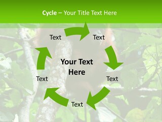 Mother Senior Peaceful PowerPoint Template