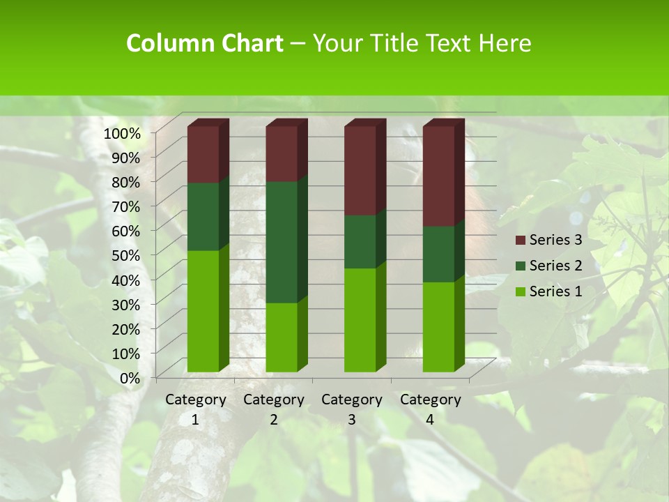 Mother Senior Peaceful PowerPoint Template