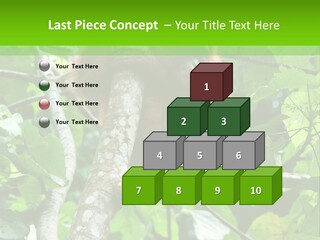 Mother Senior Peaceful PowerPoint Template
