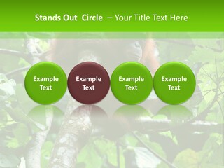 Mother Senior Peaceful PowerPoint Template