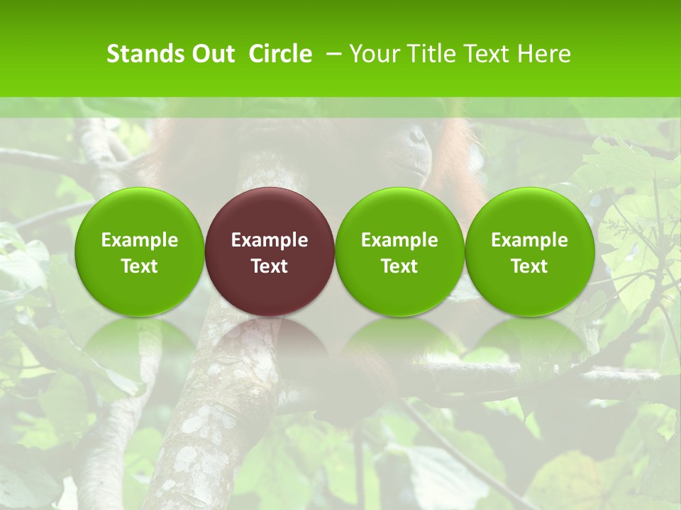 Mother Senior Peaceful PowerPoint Template