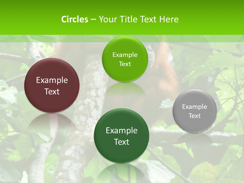 Mother Senior Peaceful PowerPoint Template