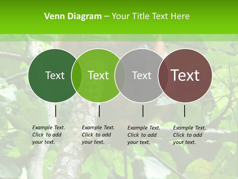 Mother Senior Peaceful PowerPoint Template