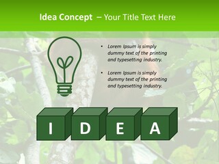 Mother Senior Peaceful PowerPoint Template