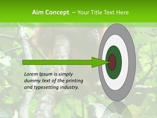 Mother Senior Peaceful PowerPoint Template