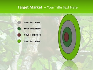 Mother Senior Peaceful PowerPoint Template