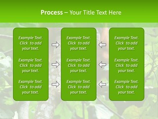 Mother Senior Peaceful PowerPoint Template