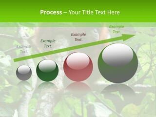 Mother Senior Peaceful PowerPoint Template