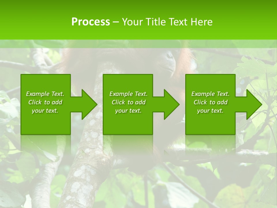 Mother Senior Peaceful PowerPoint Template