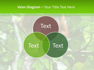 Mother Senior Peaceful PowerPoint Template