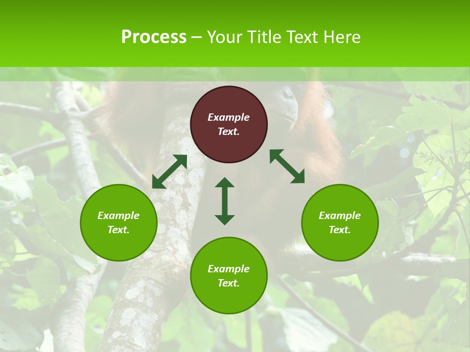Mother Senior Peaceful PowerPoint Template