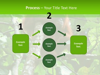 Mother Senior Peaceful PowerPoint Template