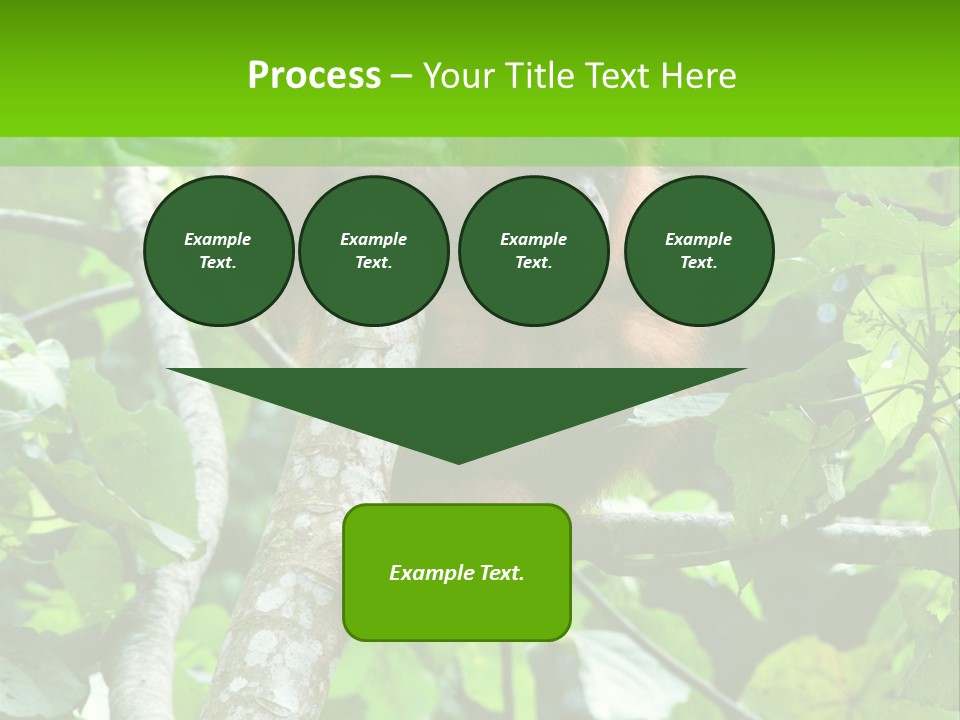 Mother Senior Peaceful PowerPoint Template