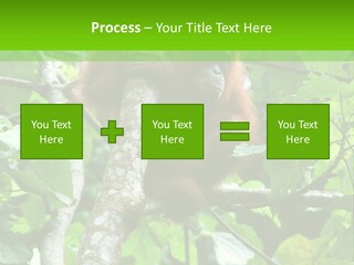 Mother Senior Peaceful PowerPoint Template