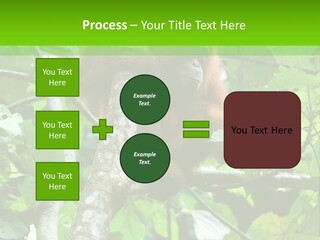 Mother Senior Peaceful PowerPoint Template