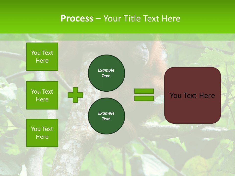 Mother Senior Peaceful PowerPoint Template