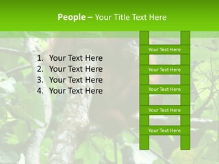 Mother Senior Peaceful PowerPoint Template