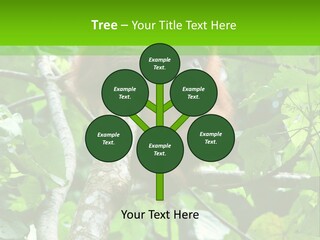 Mother Senior Peaceful PowerPoint Template
