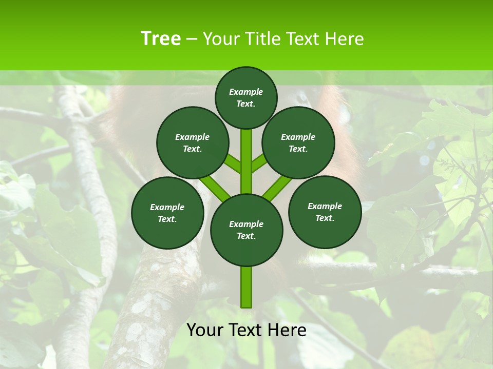 Mother Senior Peaceful PowerPoint Template