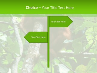 Mother Senior Peaceful PowerPoint Template