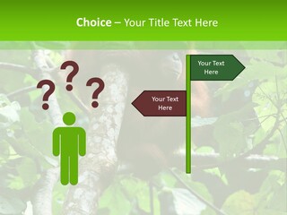 Mother Senior Peaceful PowerPoint Template