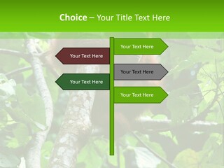 Mother Senior Peaceful PowerPoint Template