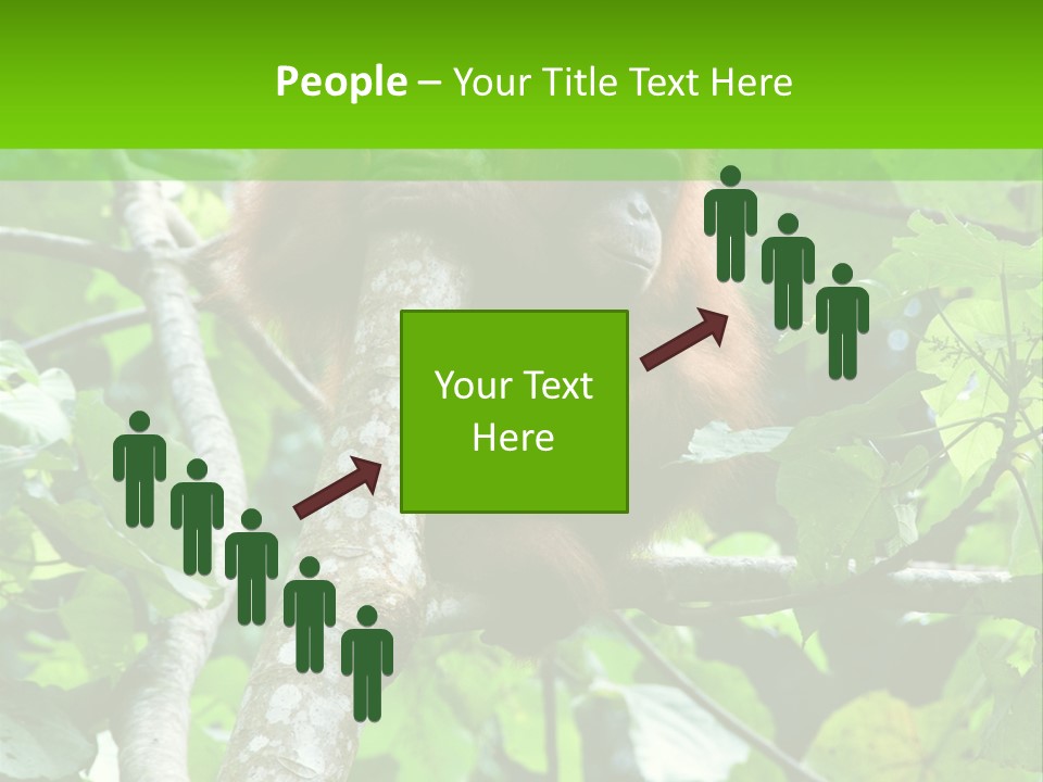 Mother Senior Peaceful PowerPoint Template