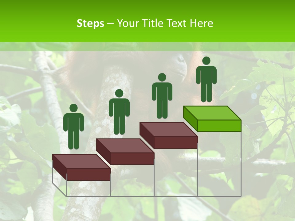 Mother Senior Peaceful PowerPoint Template