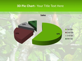 Mother Senior Peaceful PowerPoint Template