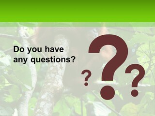 Mother Senior Peaceful PowerPoint Template
