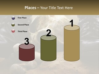 Wave Portrait Caucasian PowerPoint Template