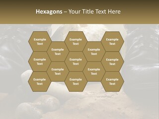 Wave Portrait Caucasian PowerPoint Template