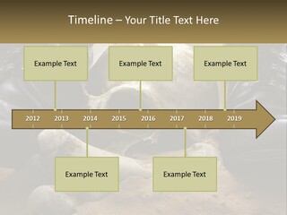 Wave Portrait Caucasian PowerPoint Template