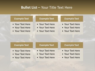 Wave Portrait Caucasian PowerPoint Template